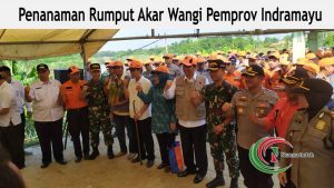 Peresmian Proses Penanaman Akar Wangi di Indramayu
