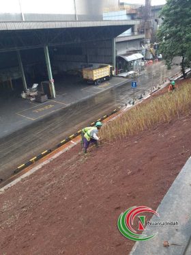 Tips Mencegah Longsor Dengan Tanaman